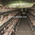 Gaiola automática da camada da galinha 2017 para a venda em Filipinas